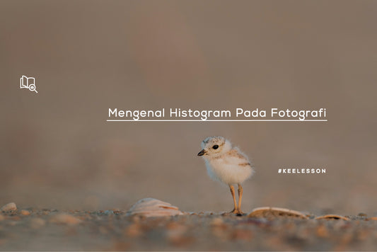 Mengenal Histogram Pada Fotografi