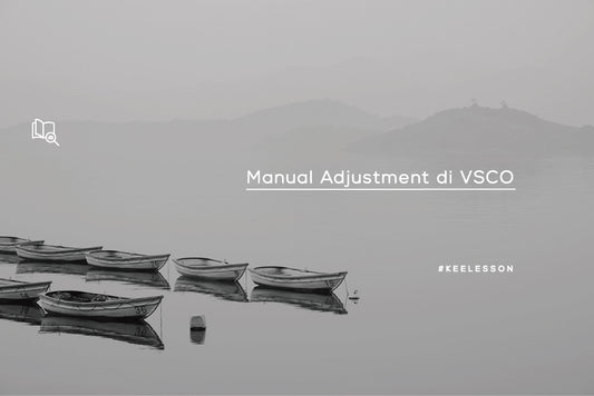 Manual Adjustment di VSCO