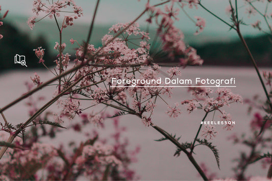 Foreground Dalam Fotografi