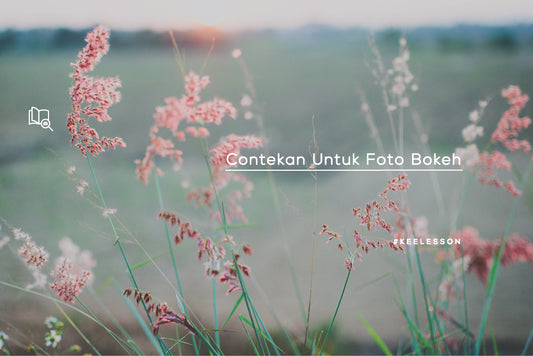 Contekan Untuk Foto Bokeh