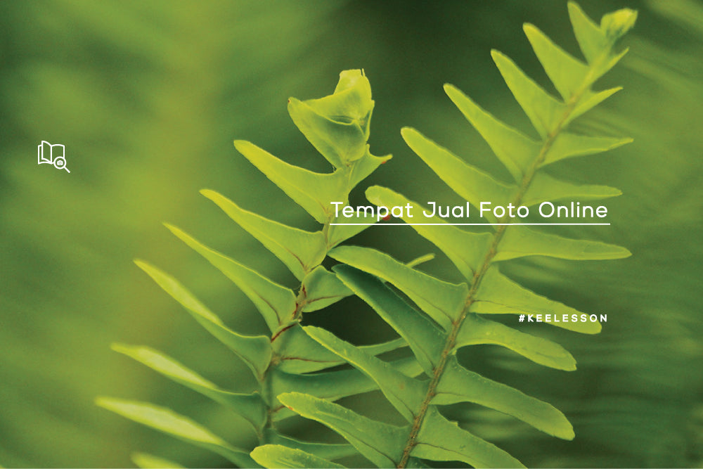 Tempat Jual Foto Online